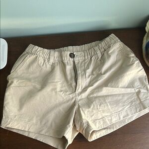 Chubbies Men’s 4” inseam shorts